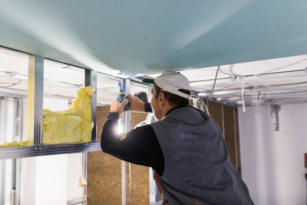 Best Professional Insulation Contractor  in Harlingen, TX