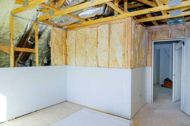 Best Cellulose Insulation  in Harlingen, TX