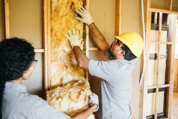 Best Affordable Insulation Services  in Harlingen, TX