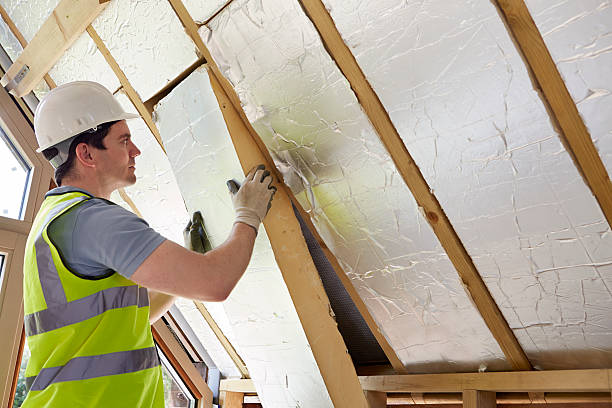 Best Insulation Replacement Services  in Harlingen, TX